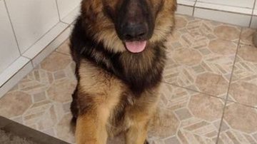 Reprodução/Arquivo Pessoal