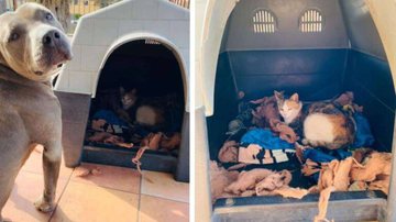 Reprodução/Redes sociais