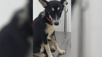 Reprodução/Arquivo Pessoal