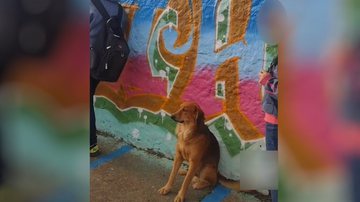 Reprodução/Arquivo Pessoal