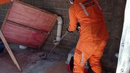Divulgação/Corpo de Bombeiros