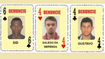 Divulgação