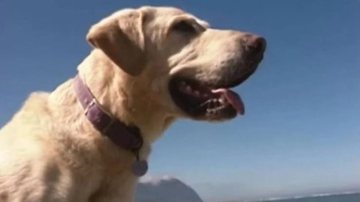 Reprodução/Arquivo Pessoal