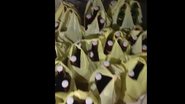 Reprodução/ Vídeo