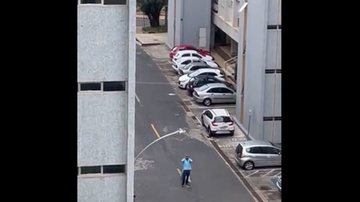Divulgação