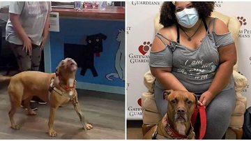 Reprodução/Gateway Pet Guardians