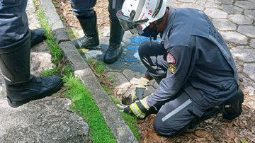 Ascom Corpo de Bombeiros