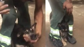 Reprodução/Redes sociais