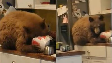 Reprodução/ YouTube