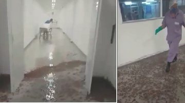 Reprodução/ Redes sociais