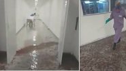Reprodução/ Redes sociais