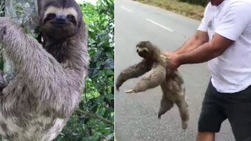 Reprodução/ Redes sociais