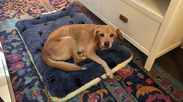 Reprodução/ Redes sociais