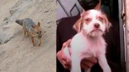 Reprodução/ Redes sociais