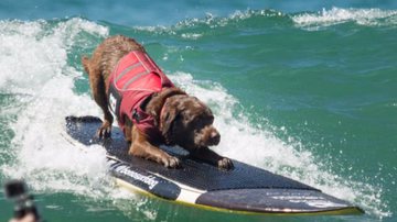 Reprodução/ Redes sociais