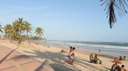 Arquivo BNews