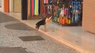 Reprodução/Redes sociais
