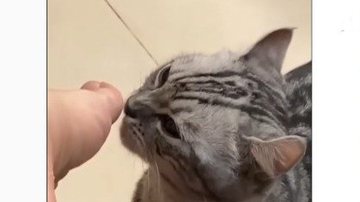 Reprodução / Redes Sociais