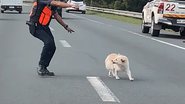 Reprodução/YouTube