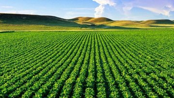 Arquivo / Agência Brasil