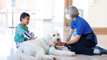 Reprodução/PetSmart