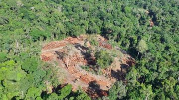 Polícia Federal / Divulgação