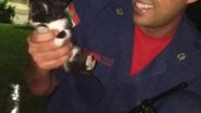 Corpo de Bombeiros/Divulgação