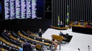 Marina Ramos/Câmara dos Deputados