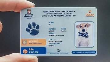 Divulgação/ Prefeitura de São Paulo.