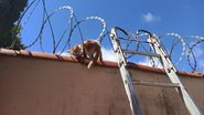 Divulgação/Corpo de Bombeiros