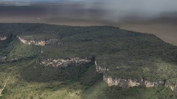 Victor Mariyama/Greenpeace