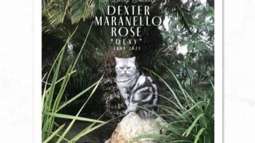 Reprodução/Twitter