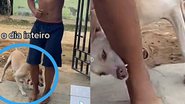 Reprodução/TikTok