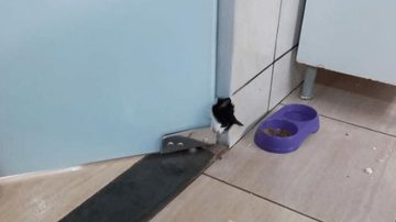 Divulgação/Corpo de Bombeiros