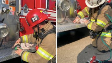 Reprodução/Redes sociais