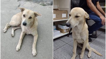 Reprodução/Redes sociais