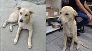 Reprodução/Redes sociais
