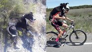 Reprodução/Facebook/Marican Team