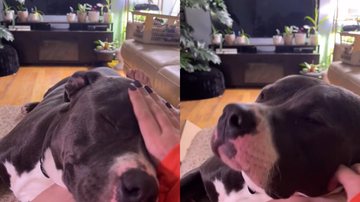 Reprodução/Tik Tok