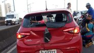 Leitor BNews