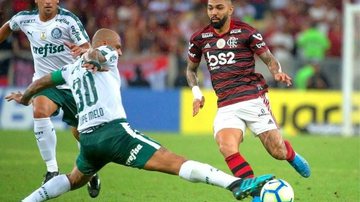 Divulgação