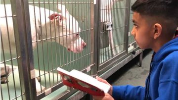 Reprodução/Washington Post