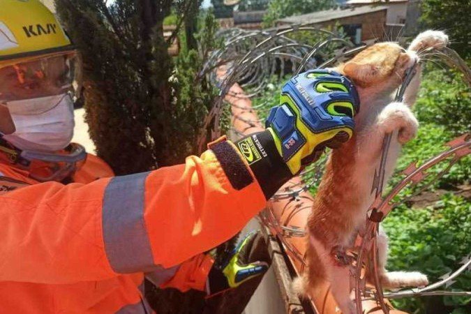 Divulgação/Corpo de Bombeiros de Araxá