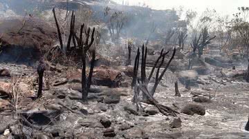 Janio Gleidson - Sergio Carvalho