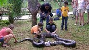 Imagem Anaconda de 5,2 metros e 80 quilos é capturada após comer cão