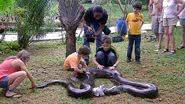 Imagem Anaconda de 5,2 metros e 80 quilos é capturada após comer cão