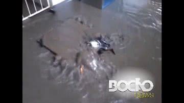 Imagem Vídeo: esgoto invade escola municipal no bairro de Periperi