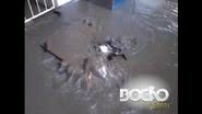 Imagem Vídeo: esgoto invade escola municipal no bairro de Periperi