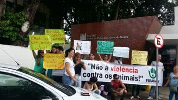 Divulgação