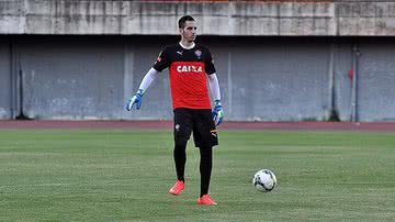 Imagem 'Gatito' se coloca à disposição de Jorginho e quer estrear no Vitória